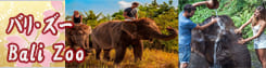 �o���E�Y�[(Bali Zoo)