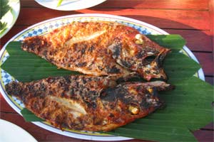 �W���o�����V�[�t�[�h