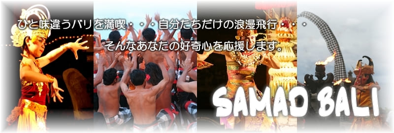 �o�����ό��J�[�`���[�^�[