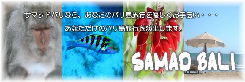 わがままバリ島カーチャーター