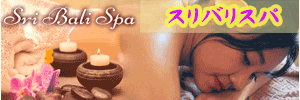 �X���o���X�p