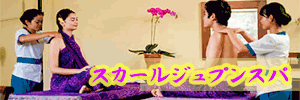 �X�J�[���W���v���X�p
